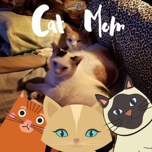 Meet your Posher, Tessa